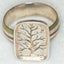 Symbolic Tree of Life Ring in Sterling Silver and Mixed Metal Band