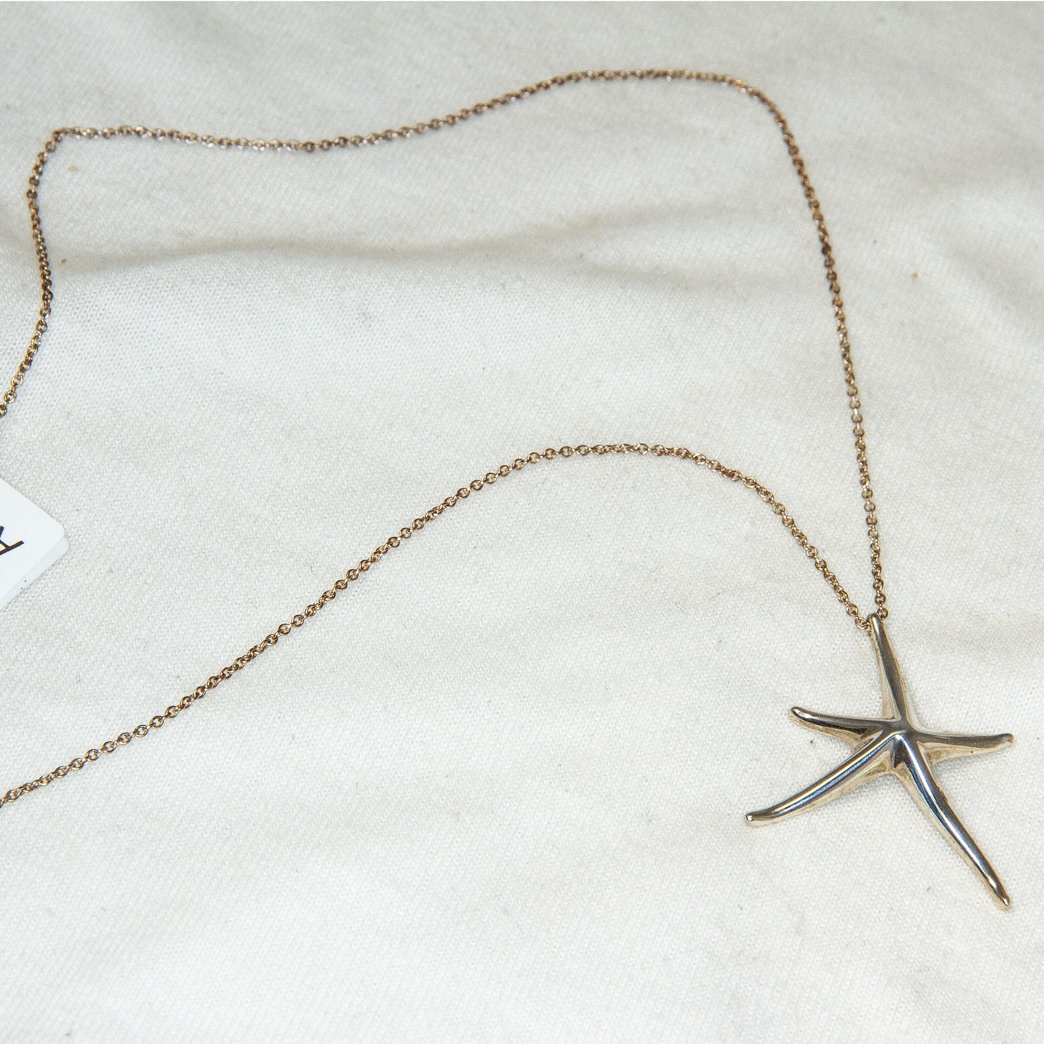 Tiffany & Co. Elsa Peretti Starfish Pendant Necklace - Sterling Silver 18"