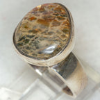 Artisan Sterling Silver Free-Form Ammolite Statement Ring - Size 7