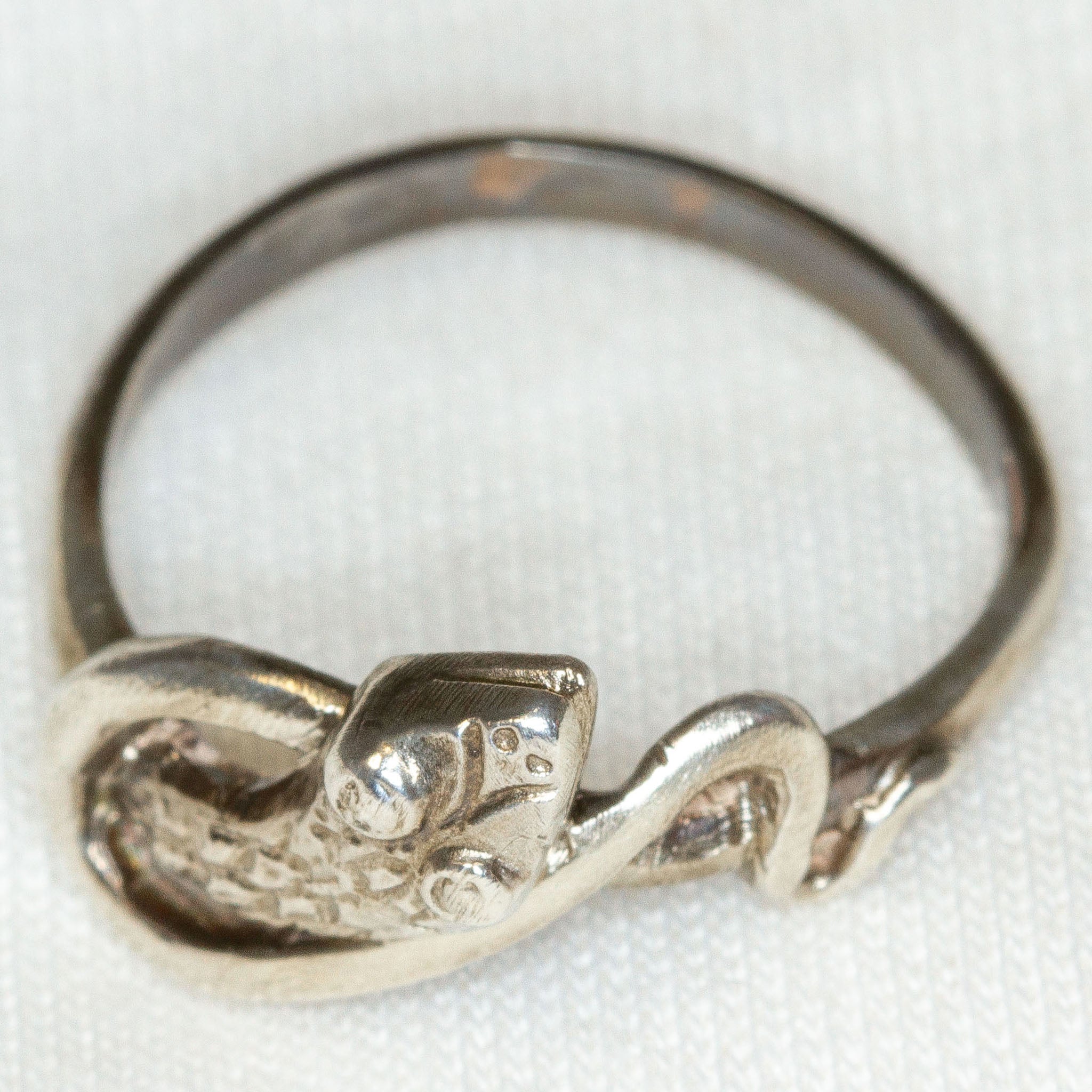 Sterling Silver Snake Ring - Size 6 Main image